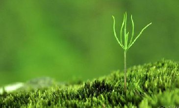 網(wǎng)版印刷在包裝業(yè)生機(jī)勃勃